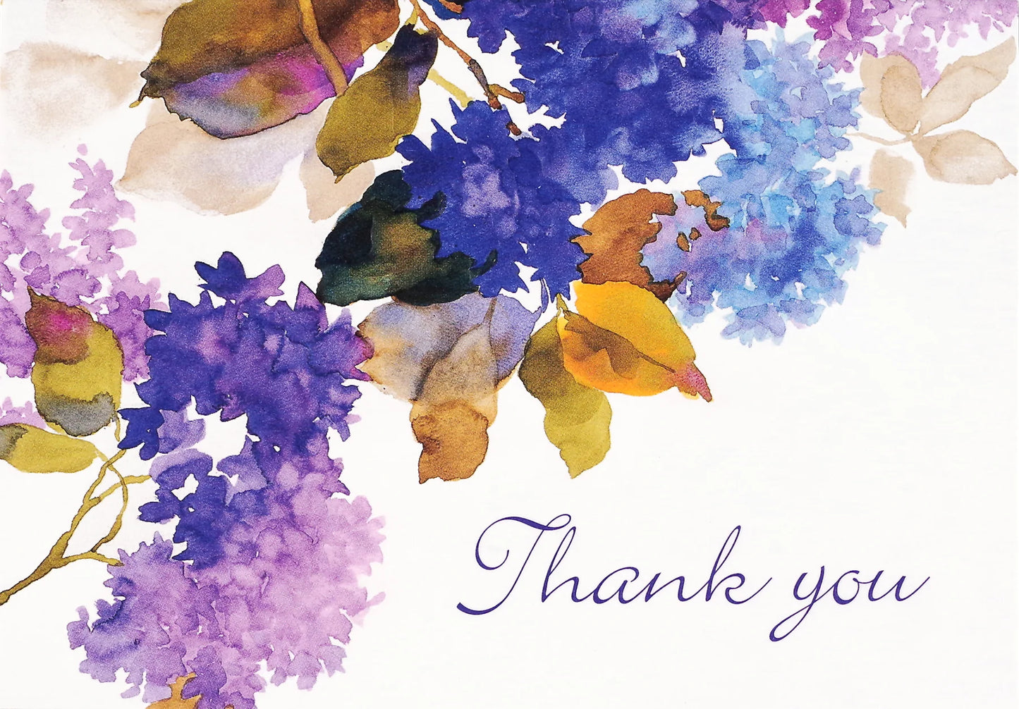 Peter Pauper Press - Thank You Notes