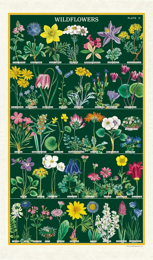 Cavallini Paper - Vintage Tea Towel