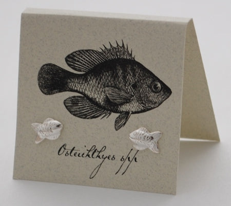 Semaki & Bird - Natural History Post Earrings