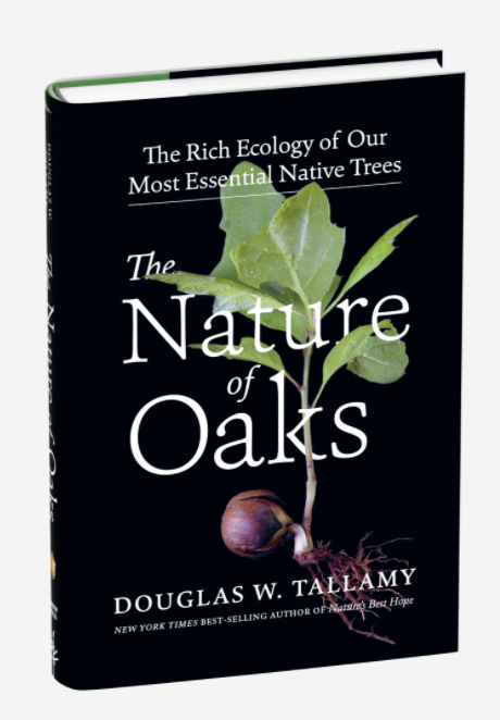 The Nature of Oaks - The Rich Ecology of Our Most Essential Native Trees