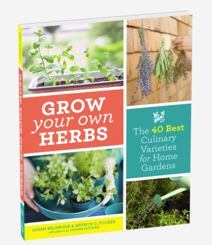 Grow Your Own Herbs