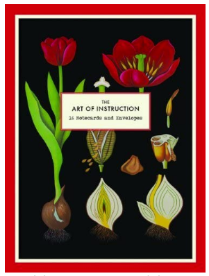 The Art of Instruction