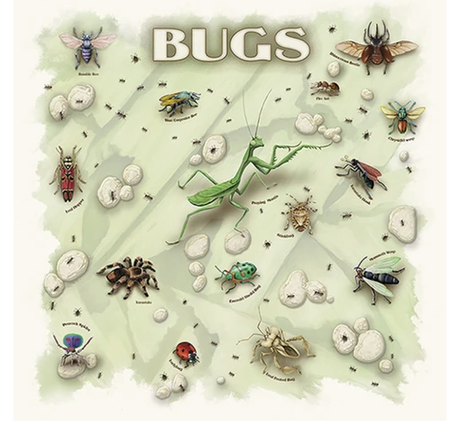 Nature Facts Bandana - Bugs