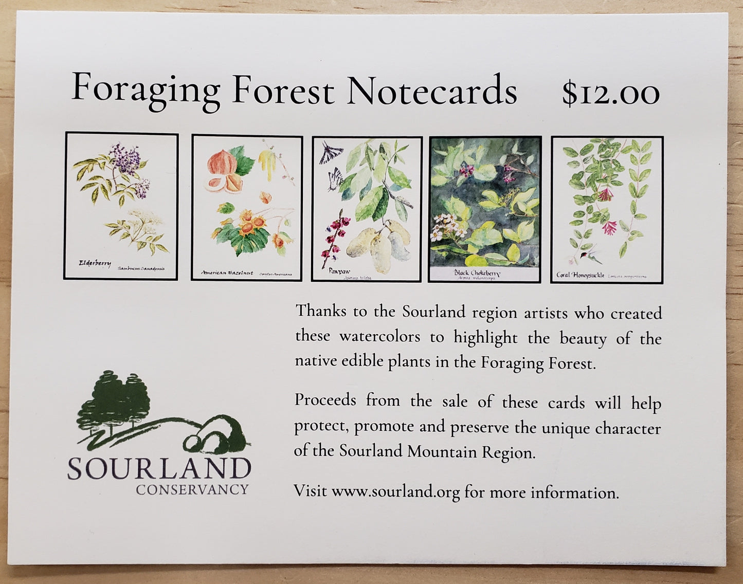 Sourlands - Foraging Forest Notecards (set of 10)