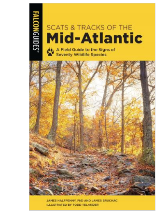 Scats & Tracks of the Mid-Atlantic