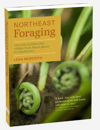Northeast Foraging