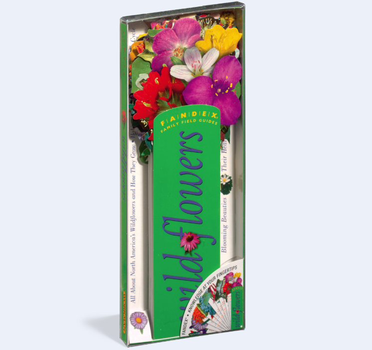 Fandex Family Field Guides: Wildflowers