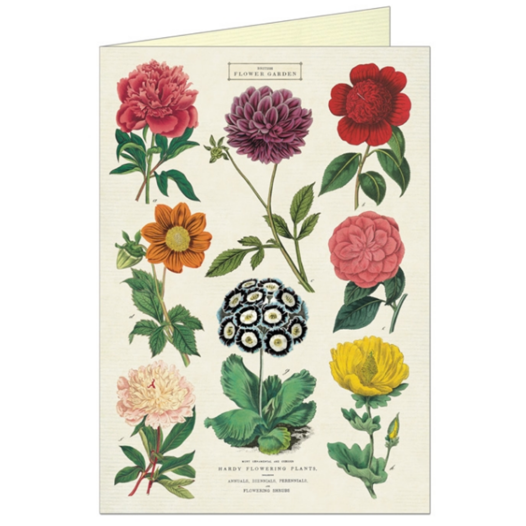 Botanica Greeting Card & Envelope