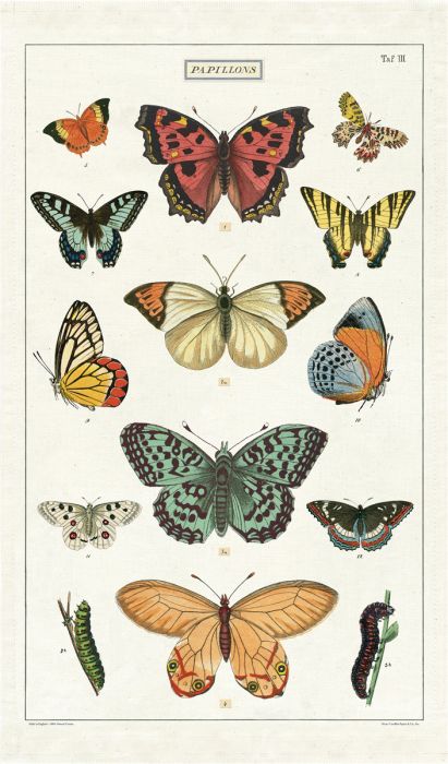 Cavallini Paper - Vintage Tea Towel