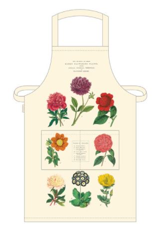 Cavallini Paper & Co - Vintage Aprons