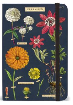 Cavallini Papers - Small Notebook