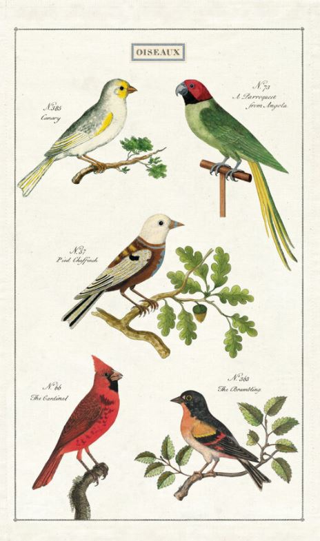 Cavallini Paper - Vintage Tea Towel