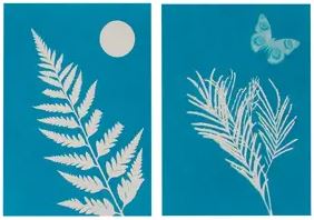 Toysmith - Outdoor Discovery Solar Print Kit