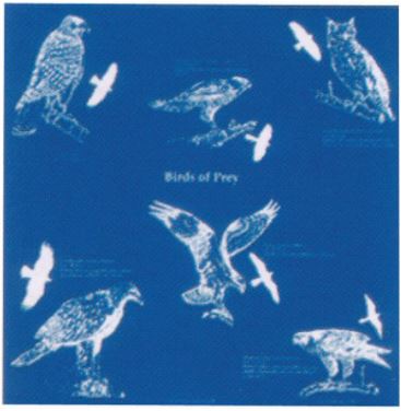 The Printed Image - Nature Facts Bandana