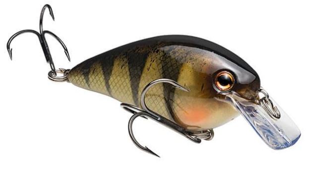 Strike King - KVD 1.5 Squarebill Crankbait