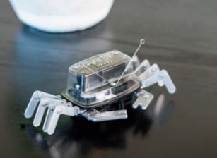 Toysmith - Table Top Robot STEM Science Kit