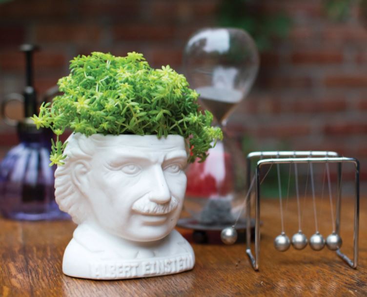 Unemployed Philosophers Guild - Albert Einstein Planter