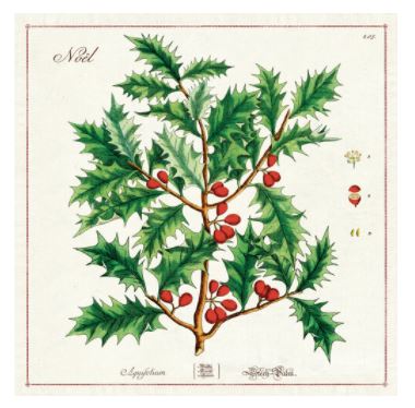 Cavallini Papers - Vintage Napkins Set of 4