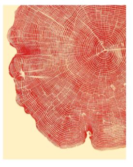 Woodcut Notecards and Envelopes by Bryan Nash Gill