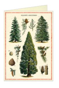 Cavallini Papers - Greeting Card