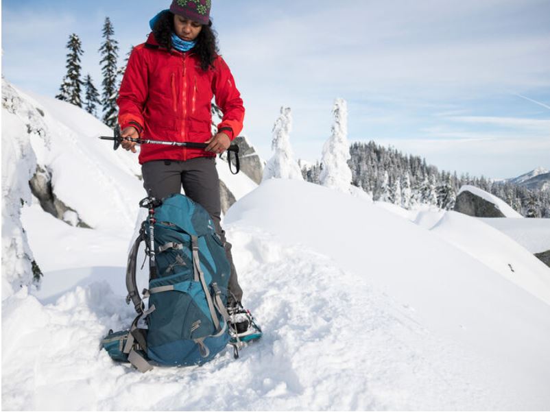 MSR - Dynalock Explore Backcountry Poles