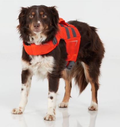 NRS - CFD Dog Life Jacket