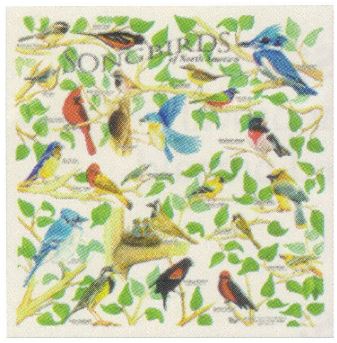 The Printed Image - Nature Facts Bandana