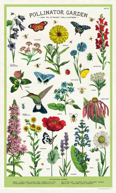 Cavallini Paper - Vintage Tea Towel