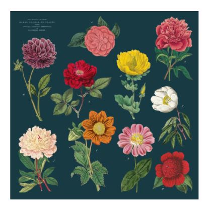 Cavallini Papers - Vintage Napkins Set of 4