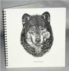 Semaki & Bird - Explorer Journal