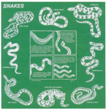 The Printed Image - Nature Facts Bandana