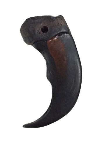 Bear Claw
