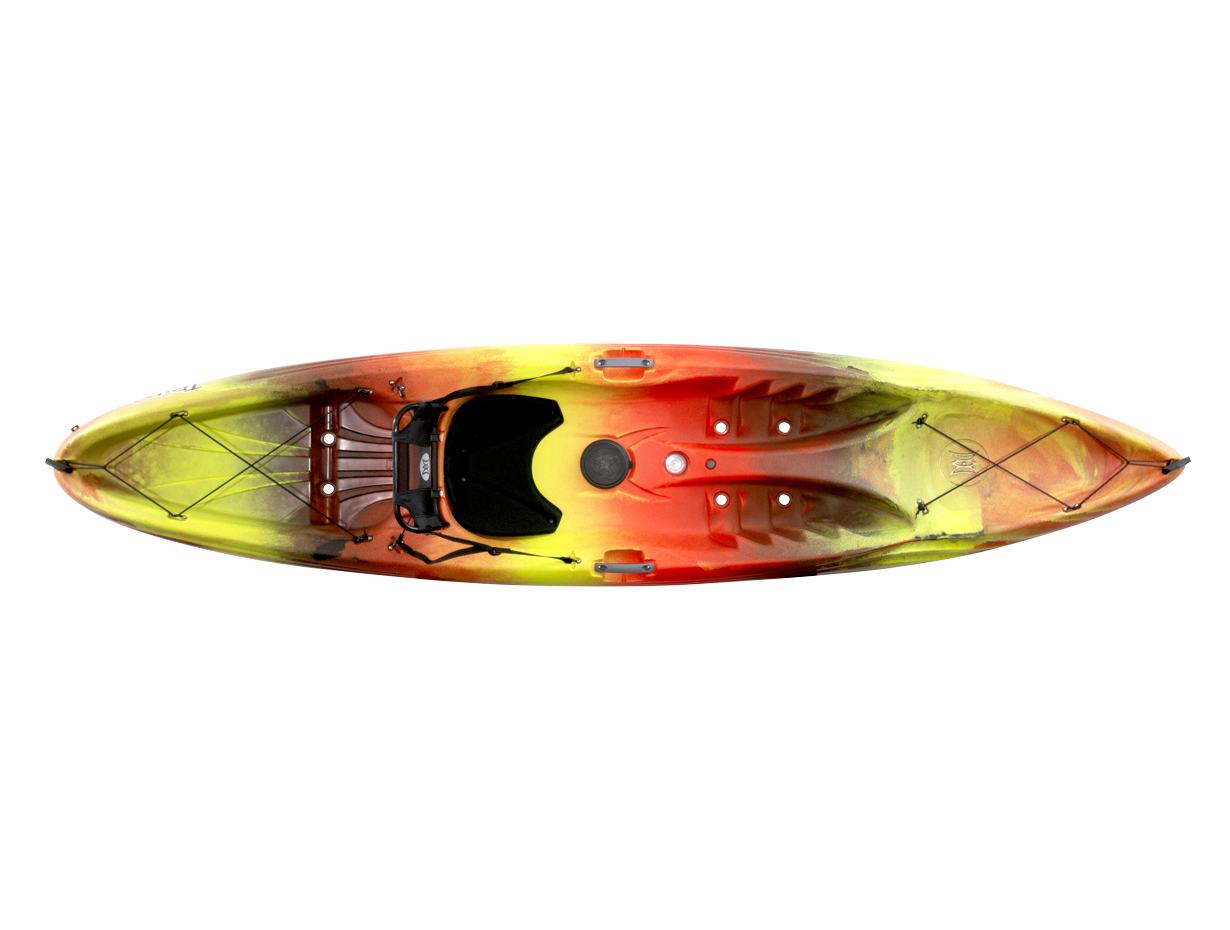 Perception - Tribe 11.5