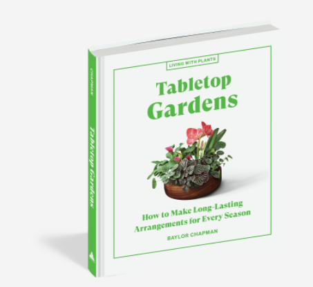 Tabletop Gardens - How to Make Long-Lasting Arrangements for Every Season