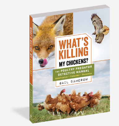 What's Killing My Chickens? The Poultry Predator Detective Manual
