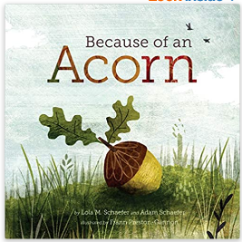 Because of an Acorn