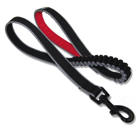 Springback 48" Dog Leash