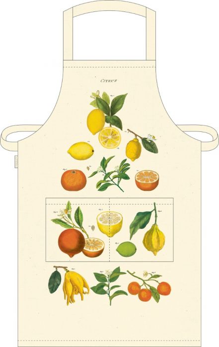 Cavallini Paper & Co - Vintage Aprons