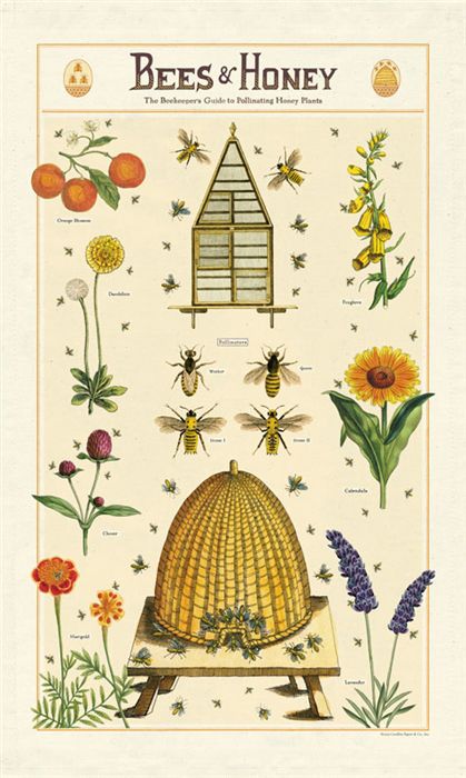 Cavallini Paper - Vintage Tea Towel