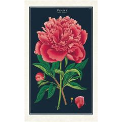 Cavallini Paper - Vintage Tea Towel