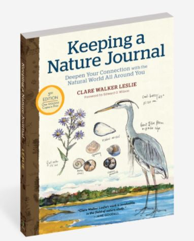 Keeping a Nature Journal - Deepen Your Connection with the Natural World All Around You