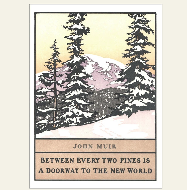 Pine by John Muir Card (set of 6)