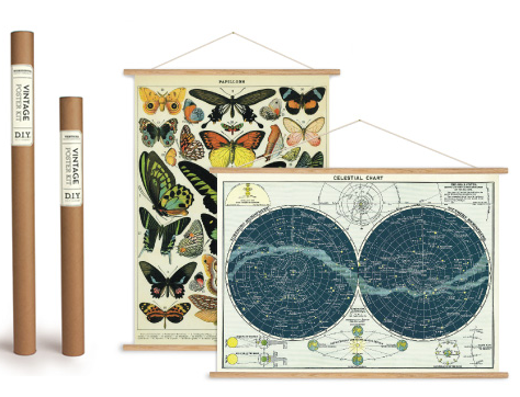 Cavallini & Co - Vintage Poster Kit
