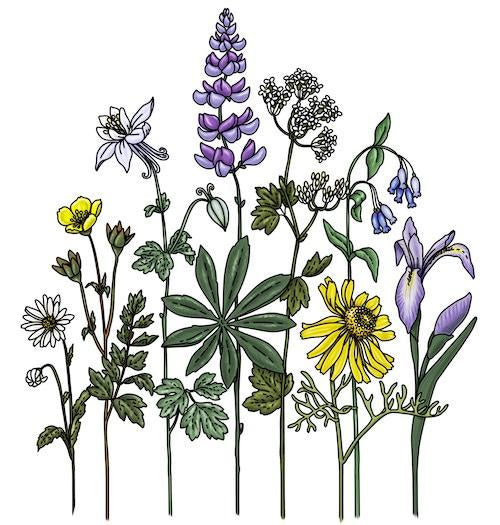 Sticker Art - Wildflowers