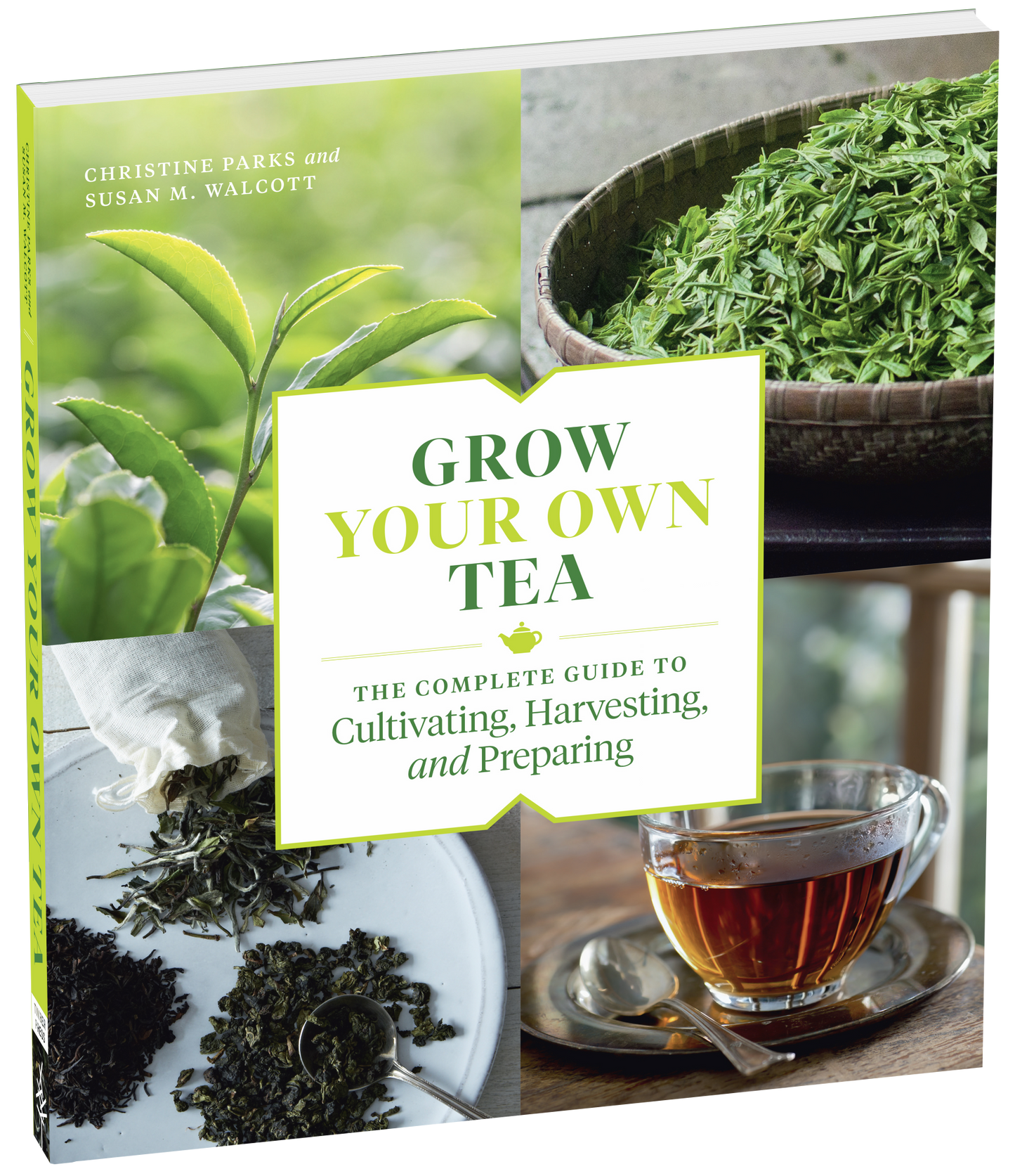 Grow Your Own Tea by Christine Parks and Susan Walcott