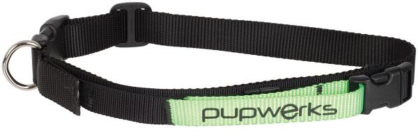 Pupwerks - Nova Collar