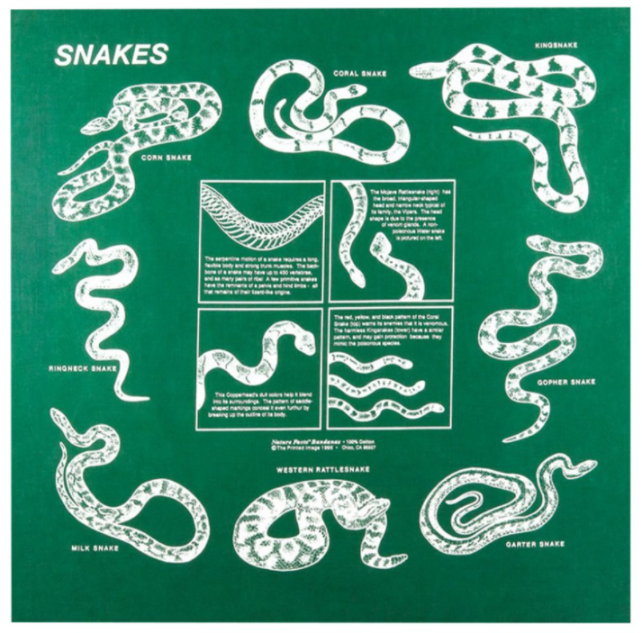 The Printed Image - Snake Bandana