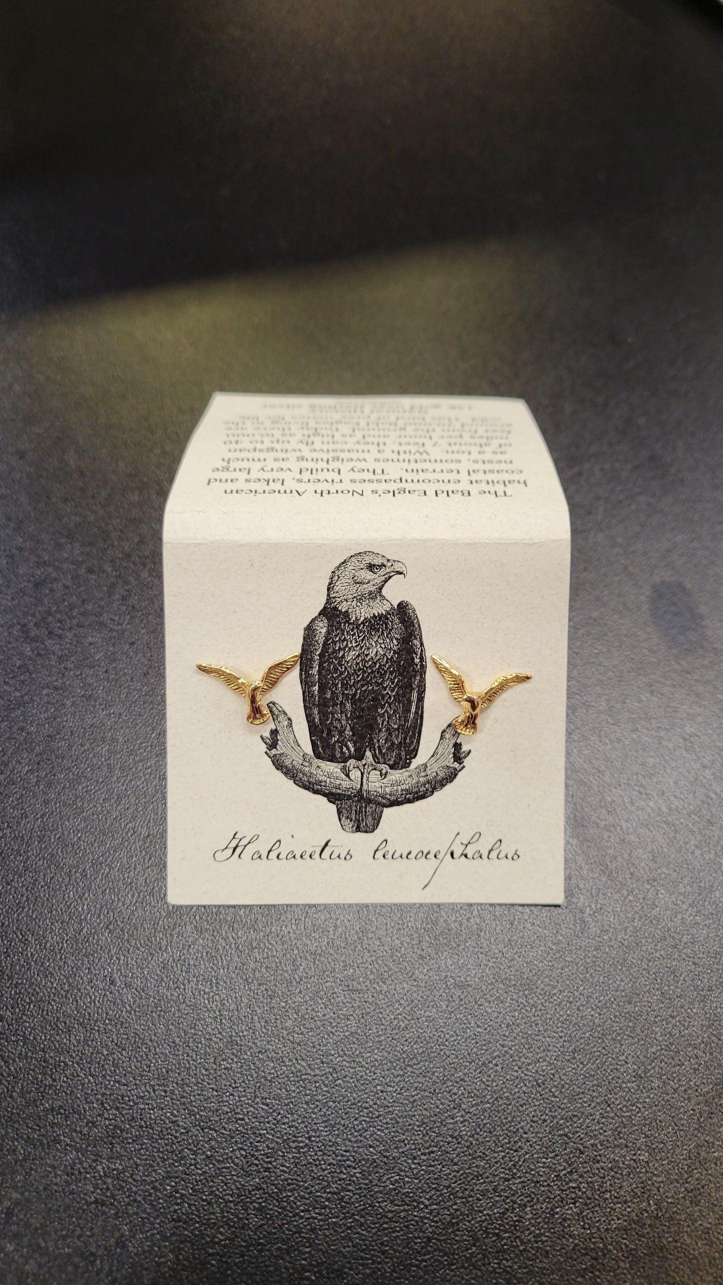 Semaki & Bird - Natural History Post Earrings