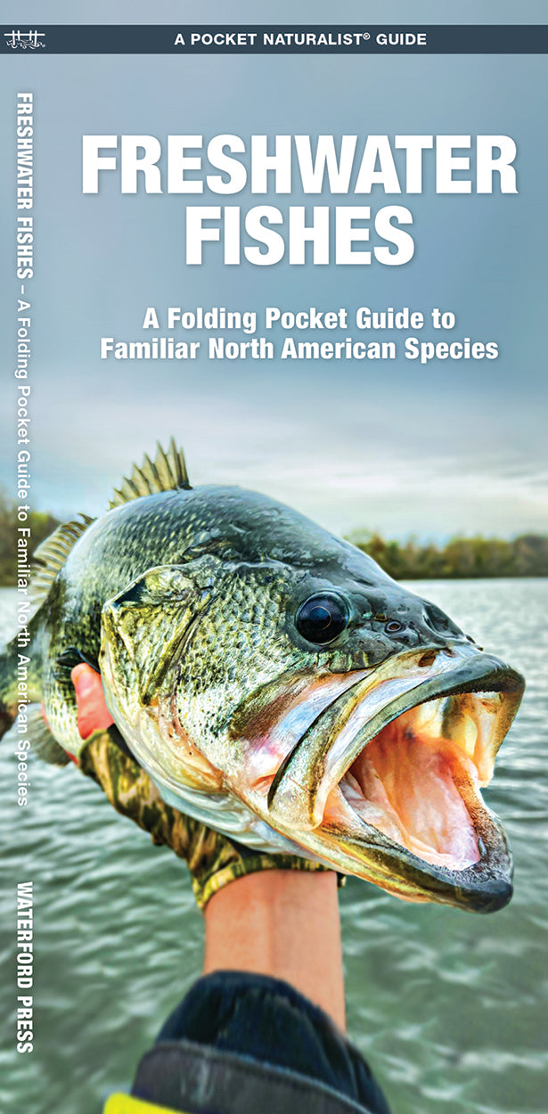 FRESHWATER FISH POCKET GUIDE