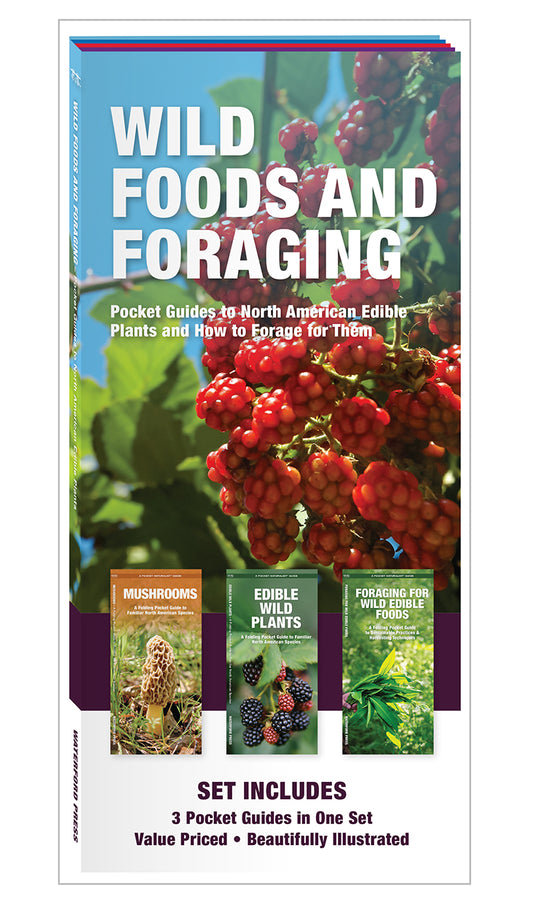 Wild Foods and Foraging Pocket Guide Set